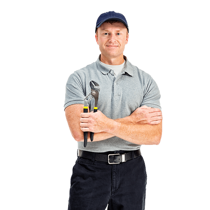 Dedetização em São Paulo